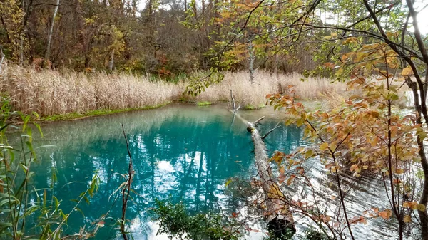 Λίμνη Goshikinuma Στη Φουκουσίμα Της Ιαπωνίας — Φωτογραφία Αρχείου