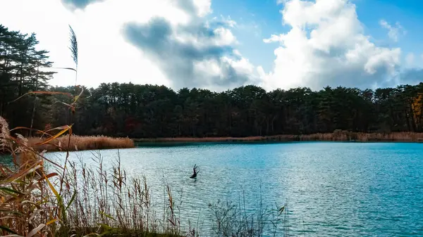 Lac Goshikinuma Fukushima Japon — Photo