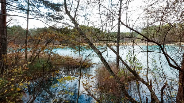 Lago Goshikinuma Fukushima Japão — Fotografia de Stock