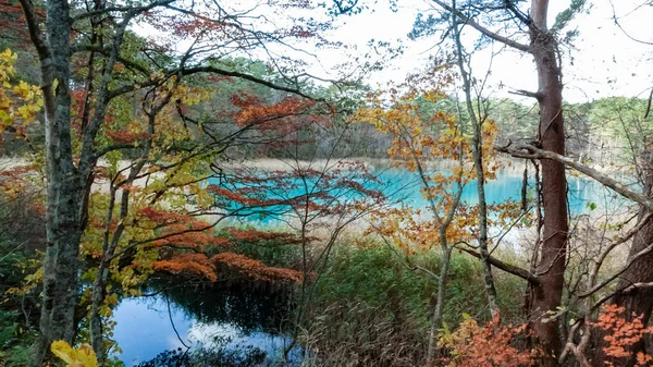 Goshikinuma Lake Fukushima Japan — Stockfoto