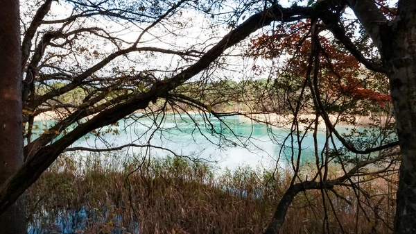 Λίμνη Goshikinuma Στη Φουκουσίμα Της Ιαπωνίας — Φωτογραφία Αρχείου