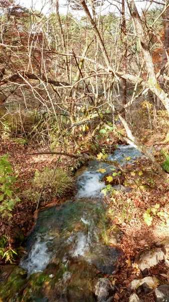 Lago Goshikinuma Fukushima Japão — Fotografia de Stock