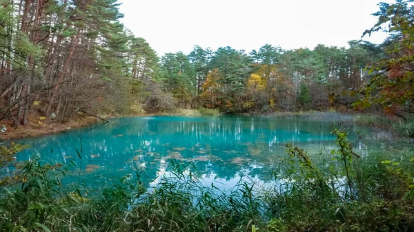 Lago Goshikinuma Fukushima Japão — Fotografia de Stock