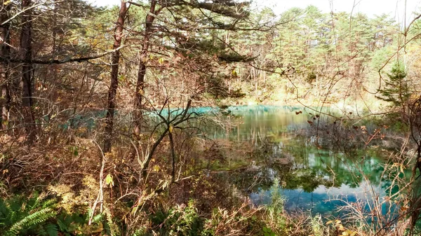 Lago Goshikinuma Fukushima Japão — Fotografia de Stock