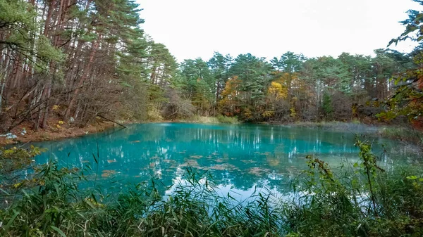 Lac Goshikinuma Fukushima Japon — Photo