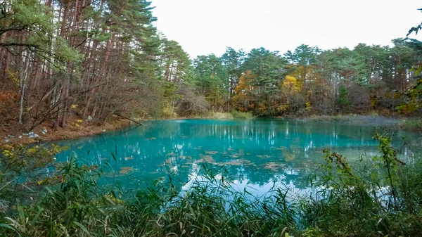 Lago Goshikinuma Fukushima Japão — Fotografia de Stock