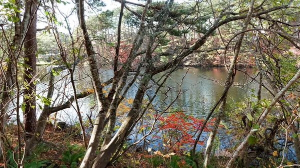 Lago Goshikinuma Fukushima Japón — Foto de Stock