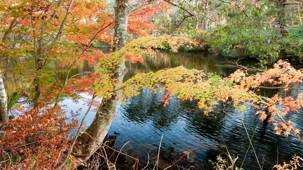 Goshikinuma See Fukushima Japan — Stockfoto