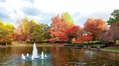Japonya 'daki sonbahar parkı