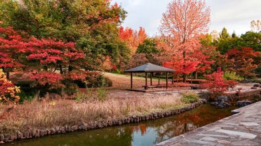 Japonya 'daki sonbahar parkı