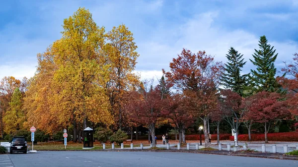 Parc Automne Japon — Photo