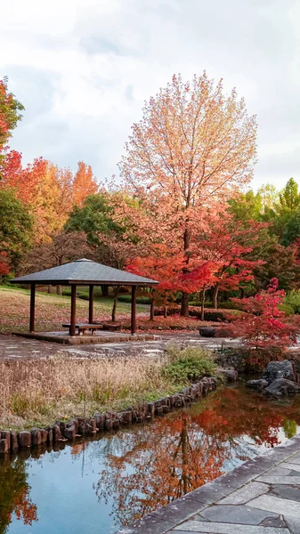 Podzimní Park Japonsku — Stock fotografie