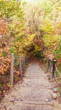 Fukushima, Japonya 'daki Tadami Hattı manzarası