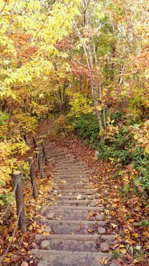 Fukushima, Japonya 'daki Tadami Hattı manzarası