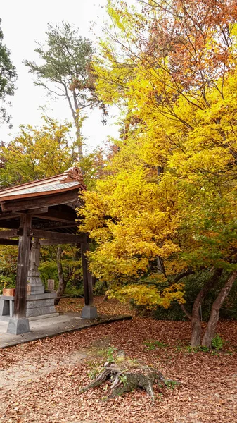 Templo Otoño Japón — Foto de Stock
