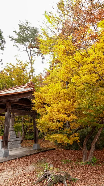 Ναός Φθινόπωρο Στην Ιαπωνία — Φωτογραφία Αρχείου