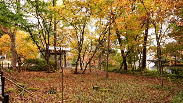 Temple Autumn Japan — Stock Photo, Image