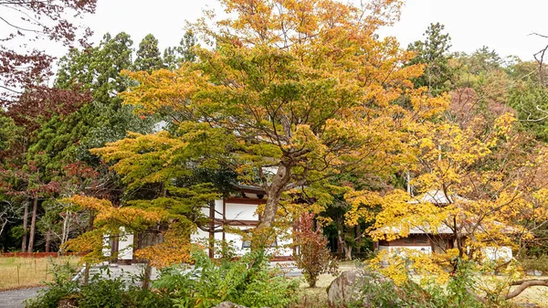 Храм Осенью Японии — стоковое фото