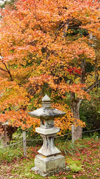 Chrám Podzim Japonsku — Stock fotografie