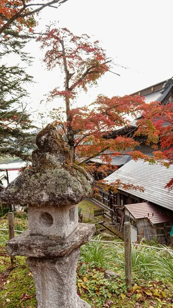 Tempel Herfst Japan — Stockfoto