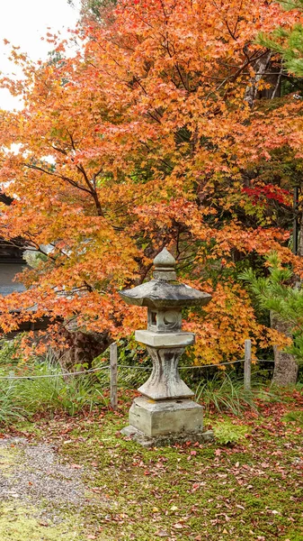 日本秋天的寺庙 — 图库照片