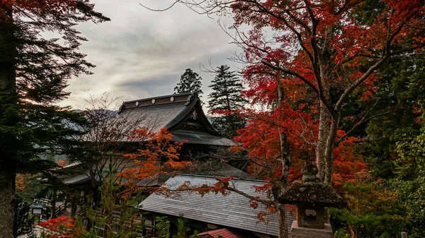 Templo Outono Japão — Fotografia de Stock