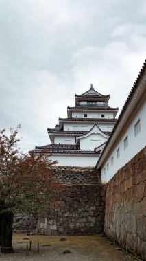 Japonya 'daki Aizuwakamatsu kalesi