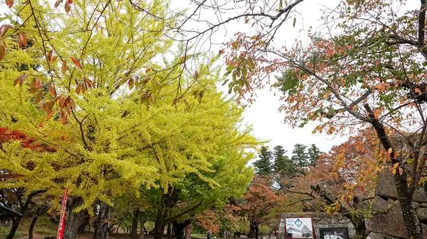 Castillo Aizuwakamatsu Japón —  Fotos de Stock