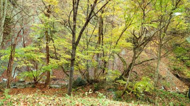 Ouchijuku Caddesi, Fukushima, Japonya.