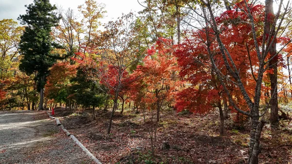 Όμορφο Φθινόπωρο Στο Tonohetsuri Aizuwakamatsu Ιαπωνία — Φωτογραφία Αρχείου