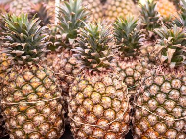 Tayvan 'da organik ananas meyvesi