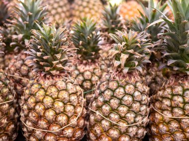 Tayvan 'da organik ananas meyvesi