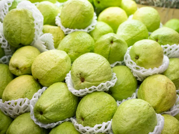 Organic guava fruit in Taiwan
