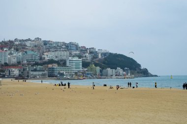 BUSAN, KOREA-MARCH 5: 5 Mart 2020 tarihinde Busan, Kore 'de Haeundae plaj cephesi. Busan' da bir şehir plajı ve yıl boyunca plaj yoğun ve çeşitli festivaller düzenlenmektedir..