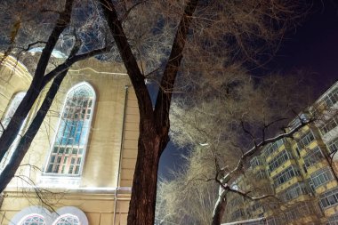 12 Ocak 2020 'de Harbin, Çin' de sokaktaki insanlar. Kuzeydoğu Çin 'de şehir nüfusunun ve metropoliten nüfusun yaşadığı en büyük ikinci şehirdir..