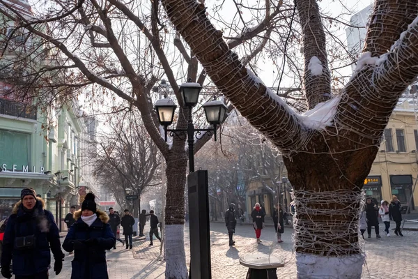 People Street January 2020 Harbin China Second Largest City Urban — Stock Photo, Image