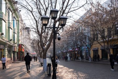 12 Ocak 2020 'de Harbin, Çin' de sokaktaki insanlar. Kuzeydoğu Çin 'de şehir nüfusunun ve metropoliten nüfusun yaşadığı en büyük ikinci şehirdir..