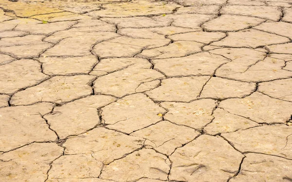 Cracked earth, cracked soil. texture of grungy dry cracking parched earth.