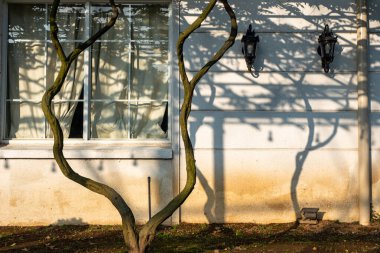 Beyaz duvarlı geleneksel Yunan ev cephesi