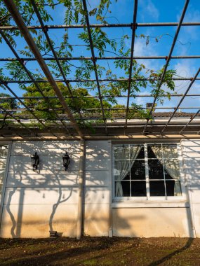 Beyaz duvarlı geleneksel Yunan ev cephesi