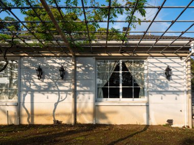 Beyaz duvarlı geleneksel Yunan ev cephesi