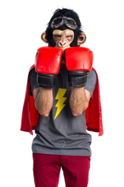Süper kahraman maymun adam boks eldivenli