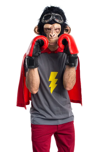 Supereroe scimmia uomo con guanti da boxe — Foto Stock