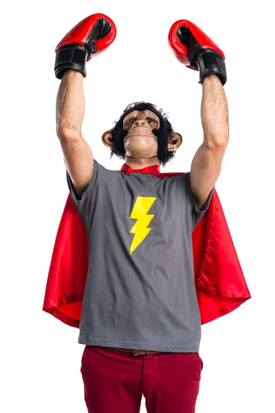 Щасливий супергерой мавпи з боксерськими рукавичками — стокове фото