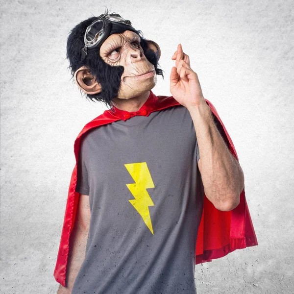 Supereroe scimmia uomo con le dita incrociate — Foto Stock