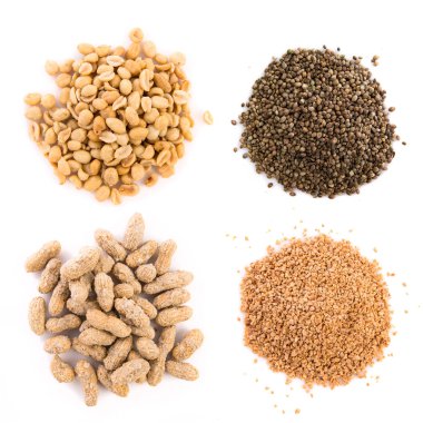 Kuruyemiş izole wite arka plan üzerinde kümesi