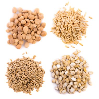 Kuruyemiş izole wite arka plan üzerinde kümesi