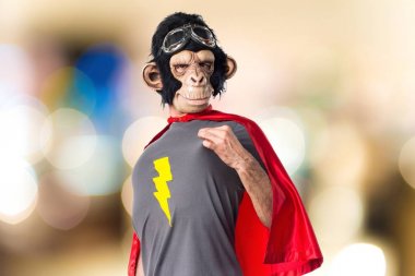 Maymun adam kendisiyle gurur