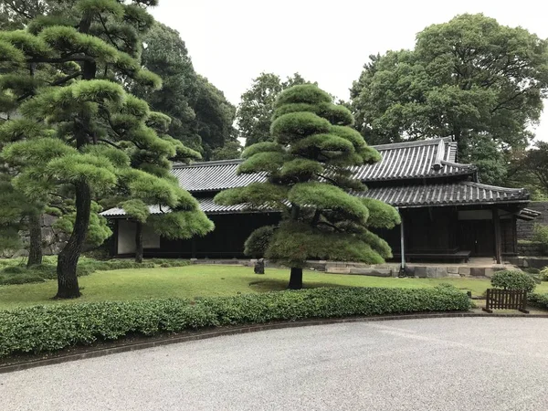 Krásný park v Japonsku — Stock fotografie