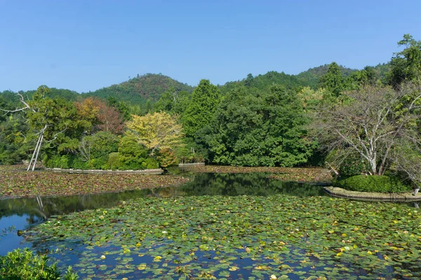 Красивый парк в Японии — стоковое фото